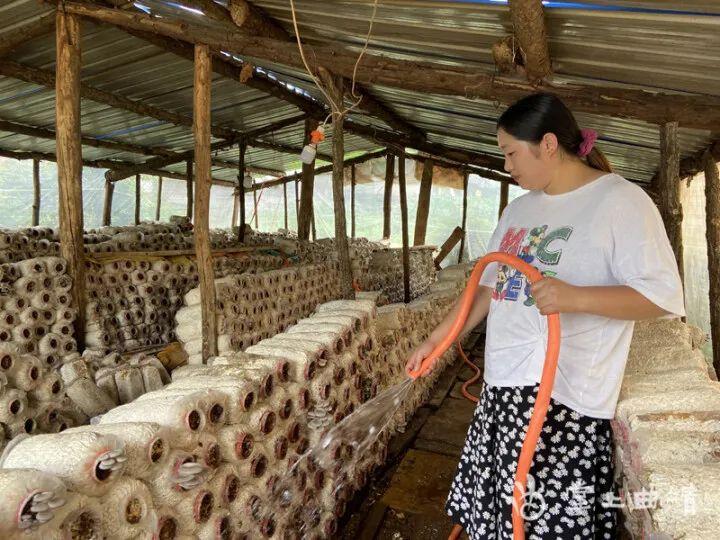 新闻致富种植空房子视频_空房种植致富新闻_新闻致富种植空房怎么写