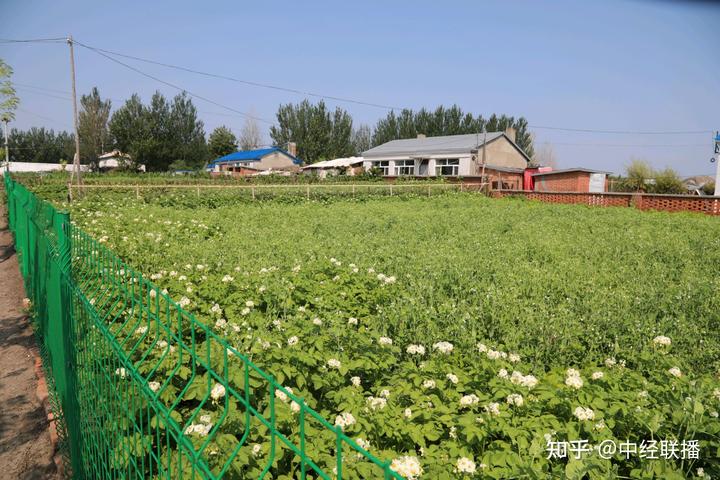 空房种植致富新闻_新闻致富种植空房怎么写_致富新闻网