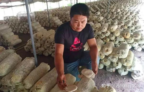 空房种植致富新闻_新闻致富种植空房怎么写_新闻致富种植空房子视频