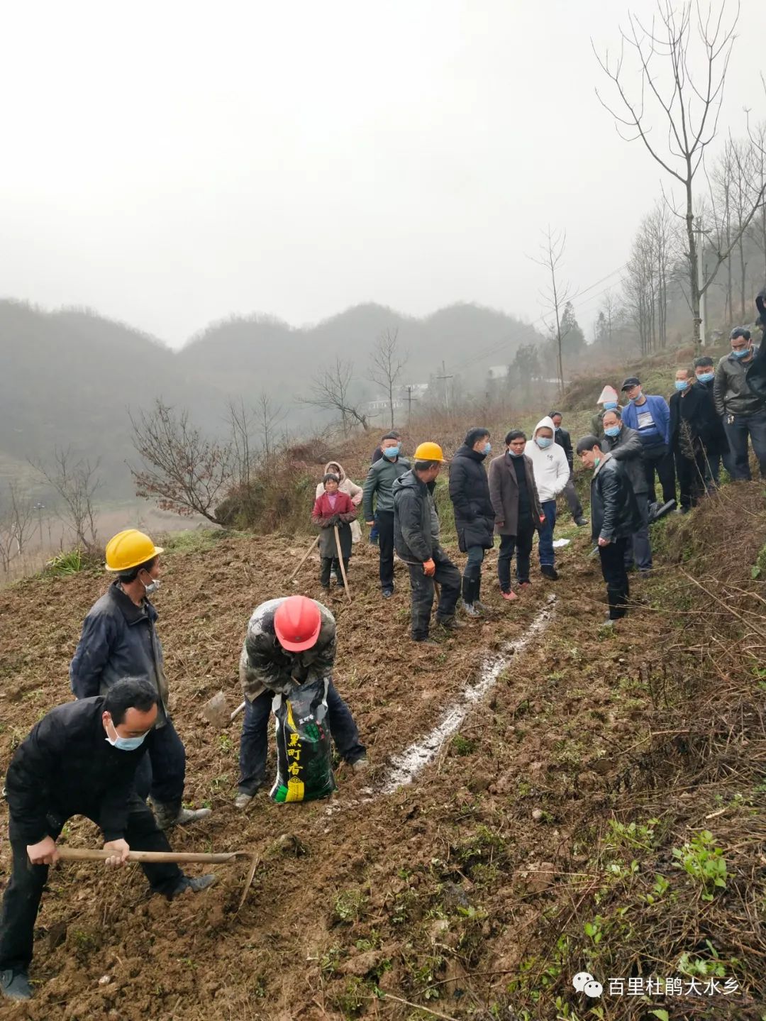 南瓜种植致富_致富南瓜种植技术视频_南瓜种植利润怎么样