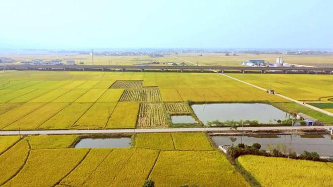 农业种植视频大全_农业种植视频教学视频网_农业种植新技术视频