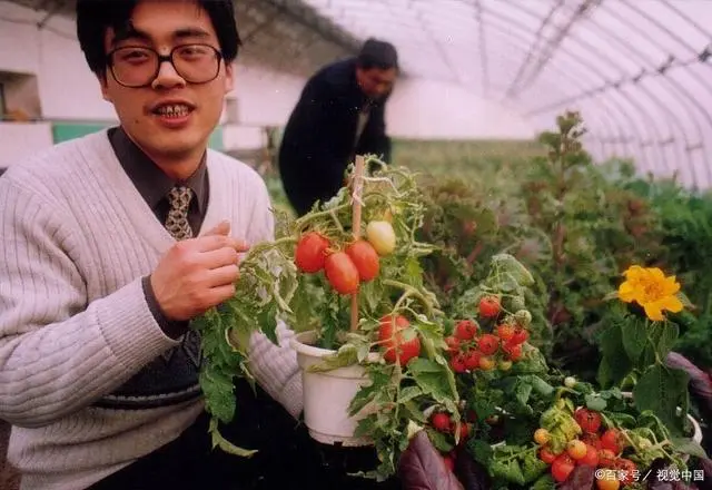 花卉大棚养殖致富_花卉致富养殖大棚图片_花卉种植大棚养花基地视频