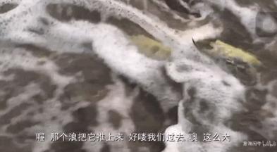 致富经浑水摸鱼_致富浑水摸鱼游戏_浑水摸鱼才叫赚钱