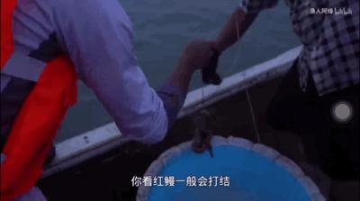 浑水摸鱼才叫赚钱_致富经浑水摸鱼_致富浑水摸鱼游戏