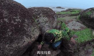 致富浑水摸鱼游戏_致富经浑水摸鱼_浑水摸鱼才叫赚钱