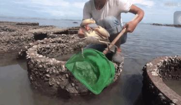 致富经浑水摸鱼_致富浑水摸鱼游戏_浑水摸鱼才叫赚钱