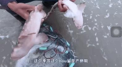 浑水摸鱼才叫赚钱_致富浑水摸鱼游戏_致富经浑水摸鱼