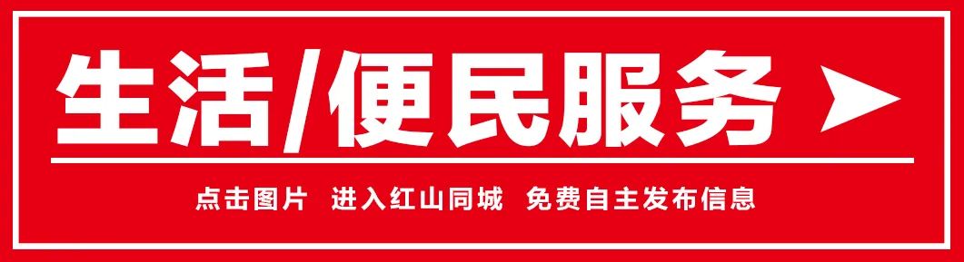 赤峰致富经沙棘_致富经沙棘果_赤峰沙棘饮料