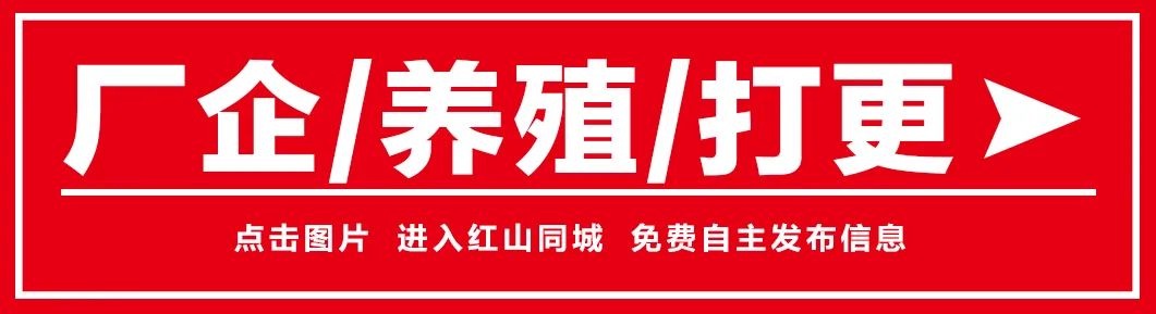 赤峰致富经沙棘_内蒙古赤峰沙棘饮料厂_赤峰沙棘饮料