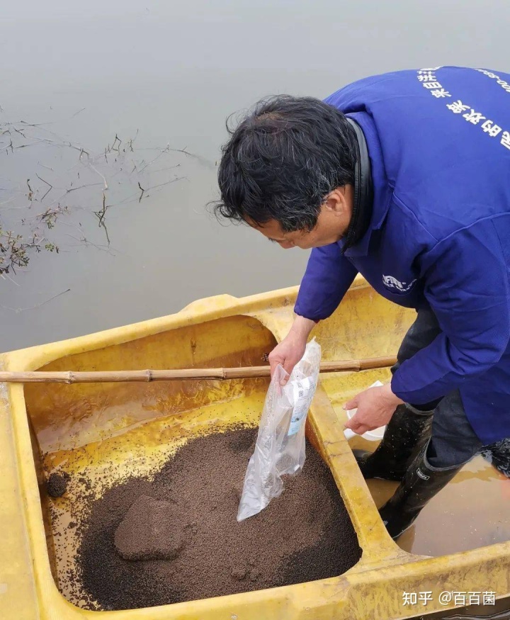 养殖水产技术最出名的几个企业_养殖水产技术现状调查_水产养殖养殖技术