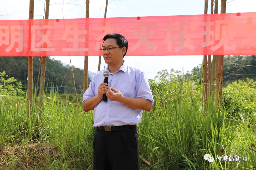 广东中药种植项目国家补贴_广东种植中药致富_广东种什么中药最赚钱