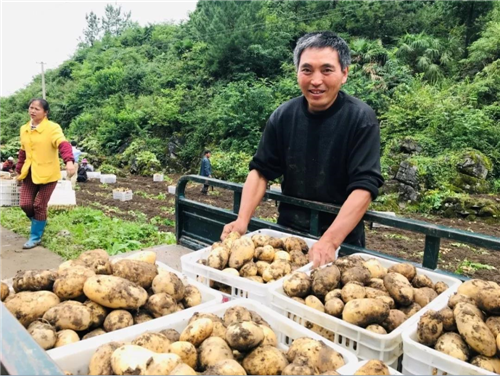 枣庄·丰都：双城记里种下“扶贫树”，跨越千里结满“致富果”