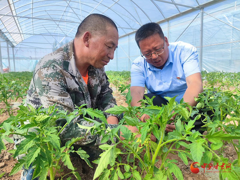 金塔：念好乡村振兴“致富经”