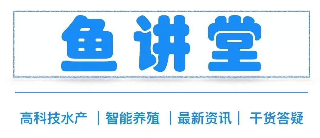 埃及胡子鲶一年能长多大_埃及胡子鲶的养殖技术_埃及胡子鲶主要患什么病