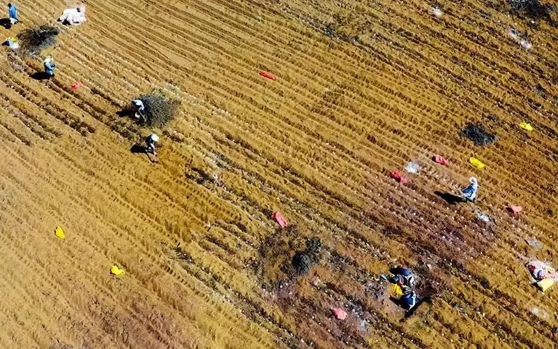 养殖地暖安装视频_地热种植技术_地暖种植致富