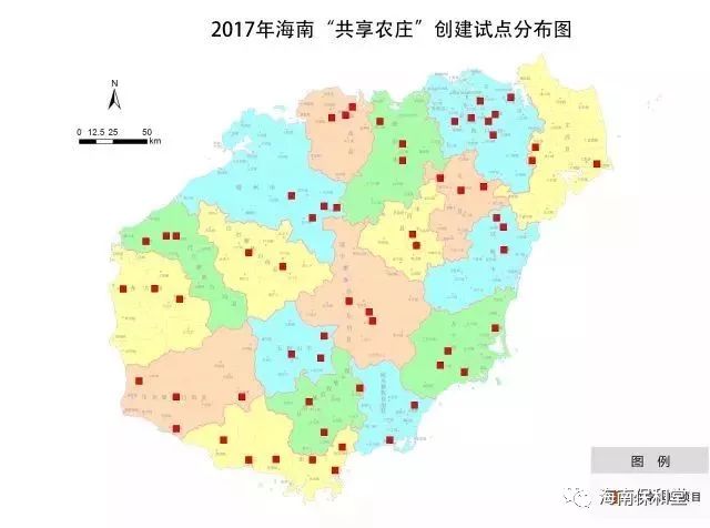 农广天地龙眼栽培技术_农广天地龙眼种植技术视频_农广天地龙眼种植技术