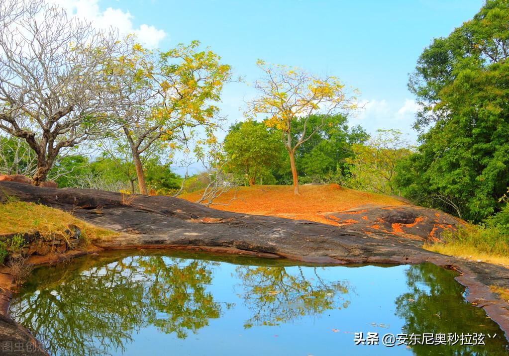 养中蜂蛋群有几种方法_蜂农养蜂视频_蛋蛋蜂养殖技术