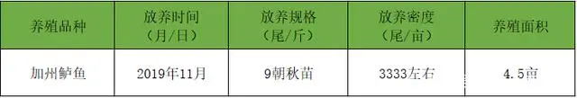 致富经养鲈鱼视频_鲈鱼养殖技术视频致富经_生财有道鲈鱼养殖视频