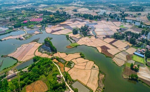 信阳主要种植什么_河南信阳种植致富_河南信阳适合种什么经济作物