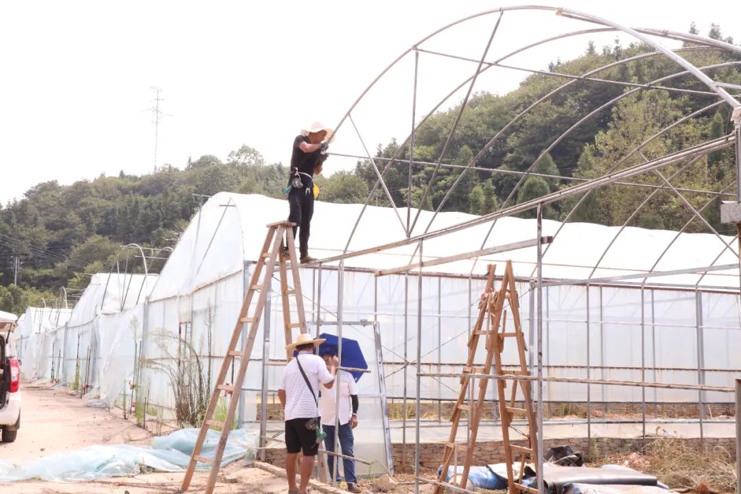 视频致富养鲈鱼是真的吗_视频致富养鲈鱼在线观看_致富经养鲈鱼视频