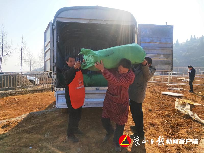 新春走基层丨雷波汶水村：“基础肉牛银行”模式助农致富