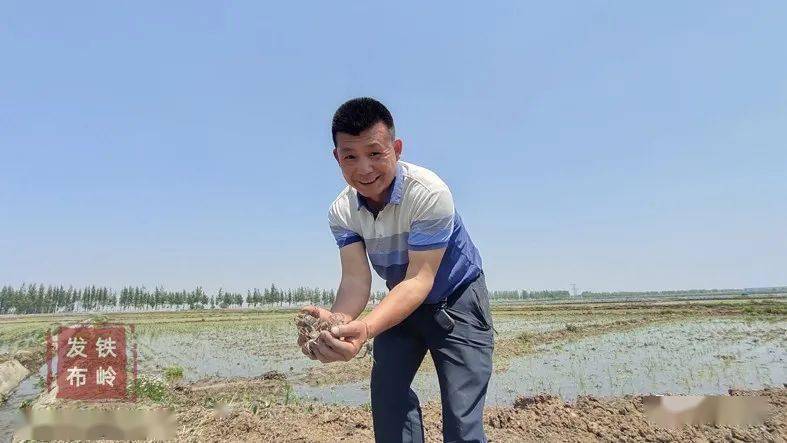 发展稻田养蟹 村支书帮大伙儿找到致富门道