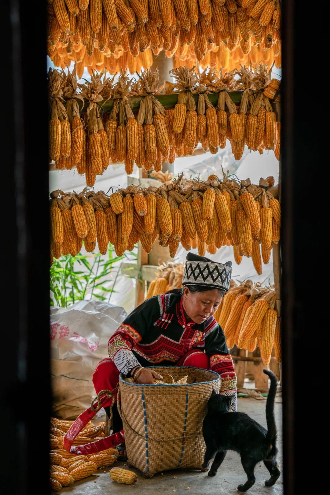 半月谈丨苦聪人，有奔头