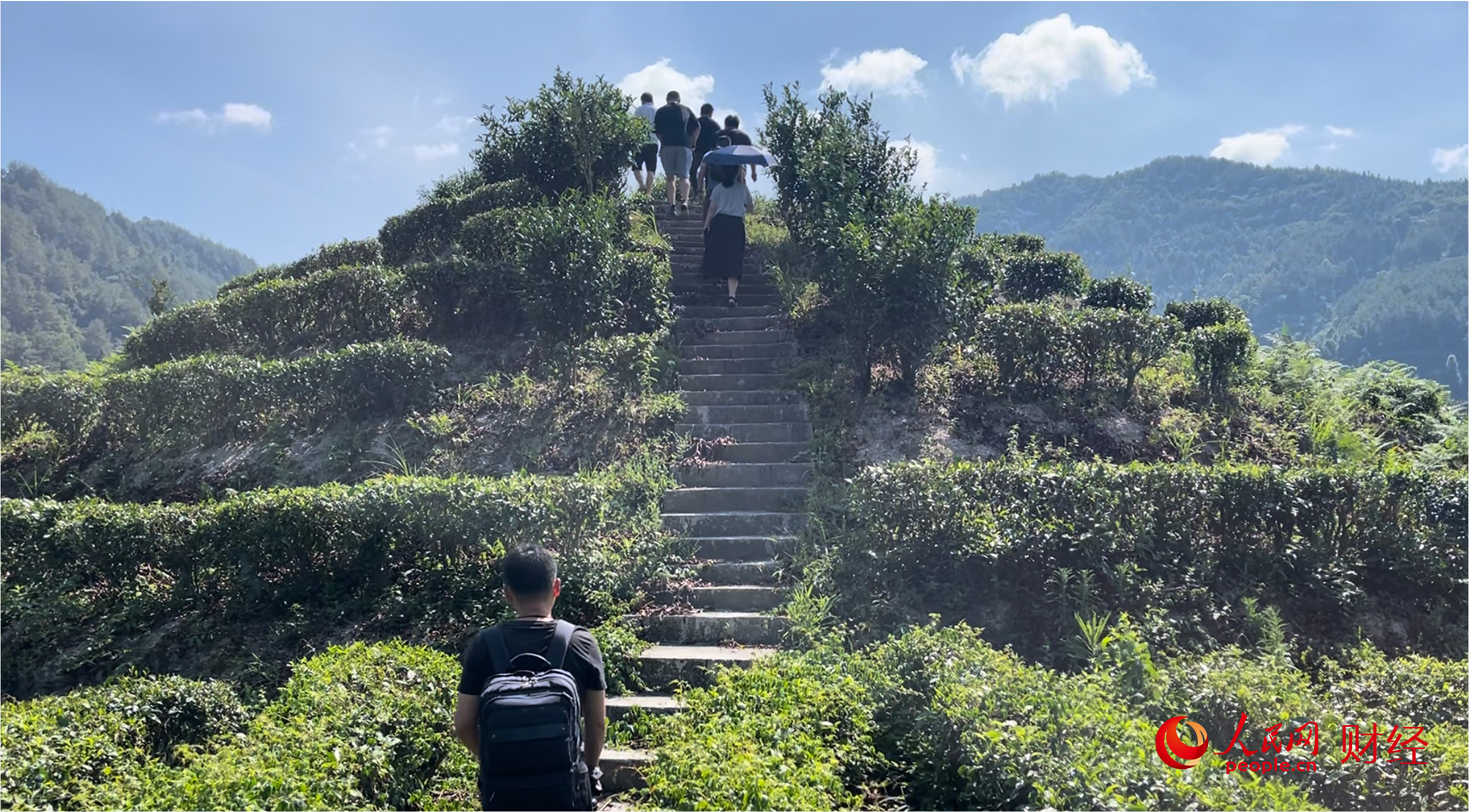 种植诈骗_骗农民的五大致富种植项目_种植业骗局