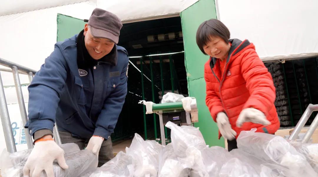 基层养殖致富视频_养殖视频致富经_致富养殖信息