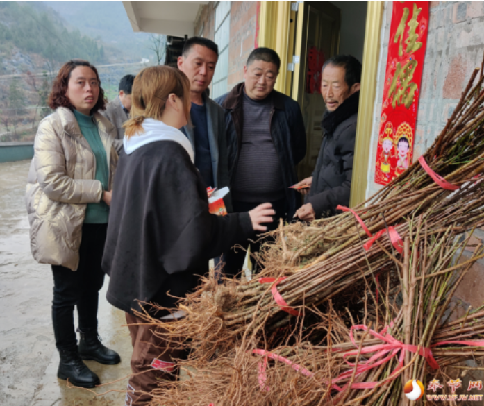 致富种植景泰项目怎么样_景泰种植致富项目_致富种植景泰项目有哪些