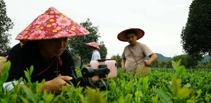 景泰苗木合作社_景泰种植致富项目_景泰县种子公司