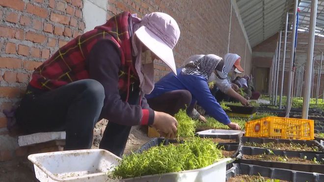 土豆种植赚钱吗_土豆致富带头人_种植土豆致富之路