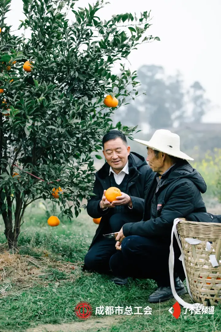 花石属于哪里_花石养殖业领先致富带头人_花石旅游