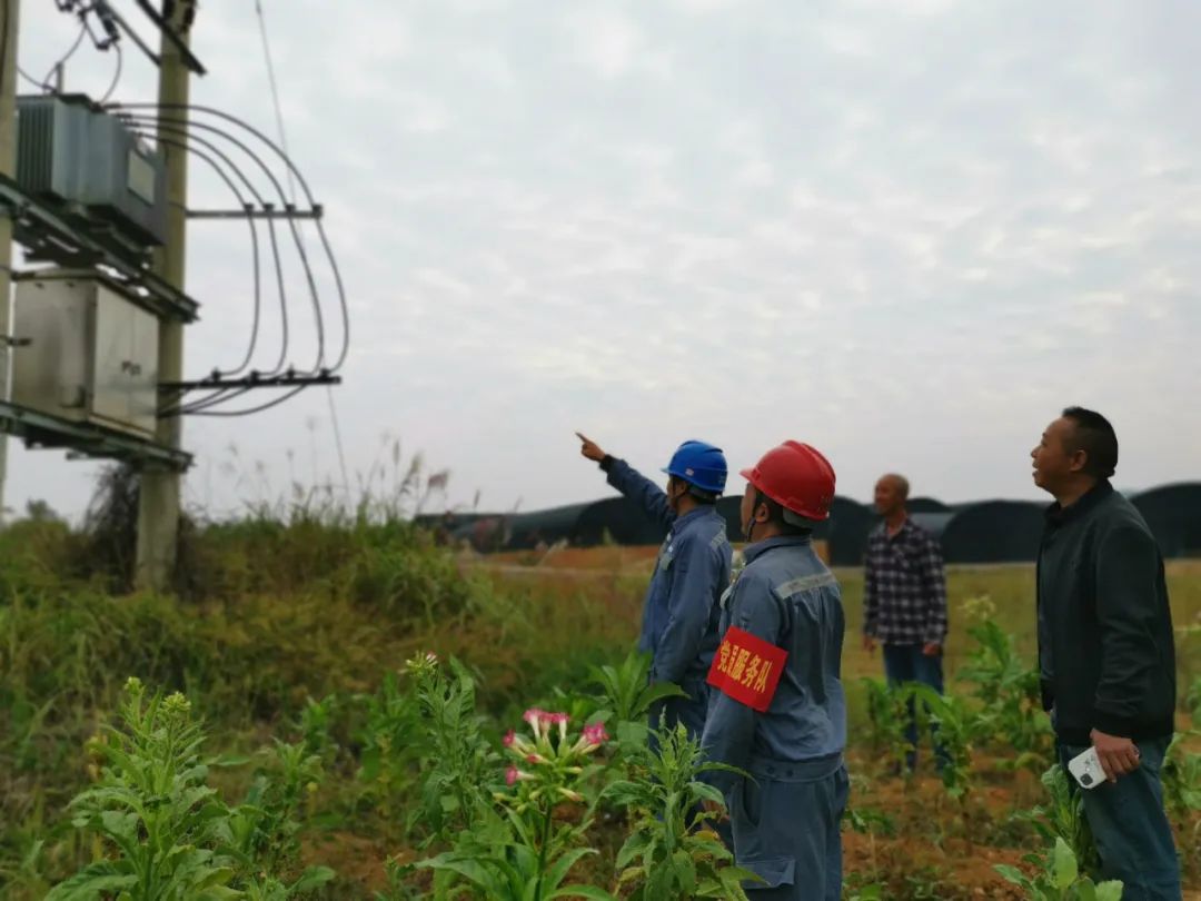 电力优质服务典型经验_典型电力优质经验服务工作总结_典型电力优质经验服务方案