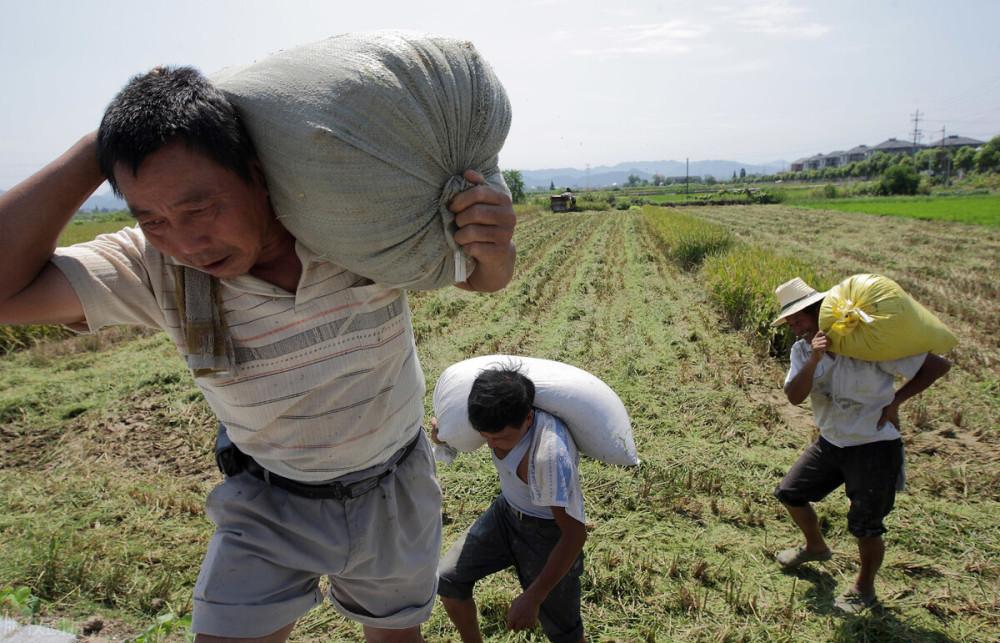 致富养殖项目_中国养殖致富政策_养殖致富经