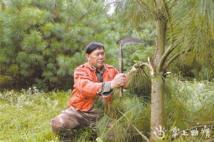 中央七台致富经养麂子_中央电视台7套致富经养兔_致富经麂子养殖