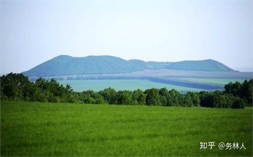 南平市林业局关于培育我市中药材龙头企业促进中药材产业发展的建议答复