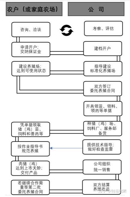 竹子养殖_致富竹子养殖方法_竹子养殖致富