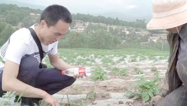 村里种植什么致富_种植致富农村项目大全_致富种植村里有补贴吗