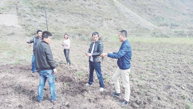 种植致富农村项目大全_村里种植什么致富_致富种植村里有补贴吗