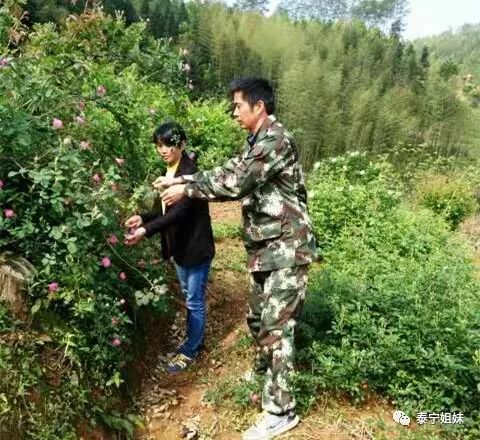 青年回乡农业种植致富项目_农村青年致富_致富农村项目