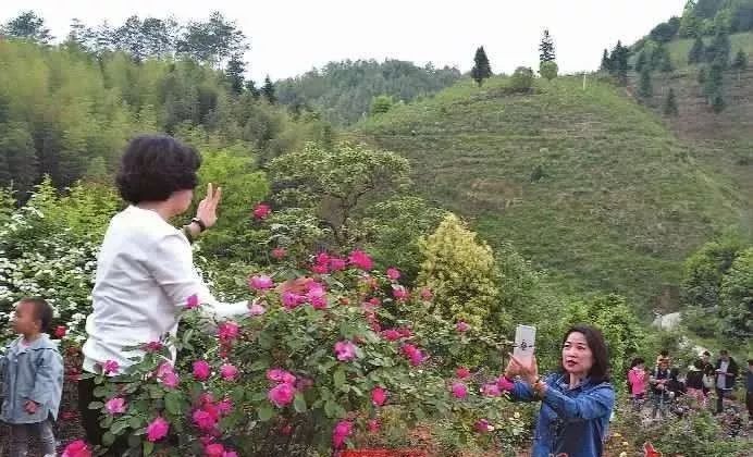 农村青年致富_致富农村项目_青年回乡农业种植致富项目