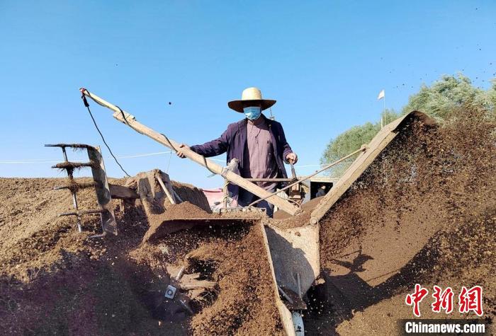 致富经蘑菇种植视频2019_中央七套致富经菌菇种植_致富经蘑菇种植技术