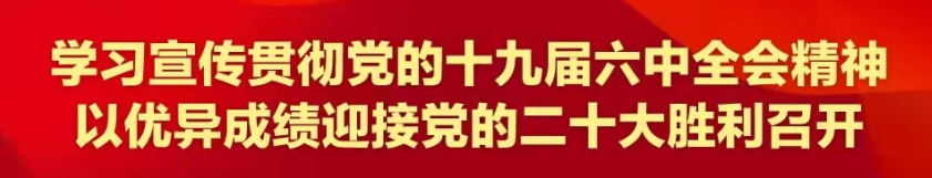 致富名人茶种里面有什么_致富经里的种茶名人_致富名人茶种里放什么