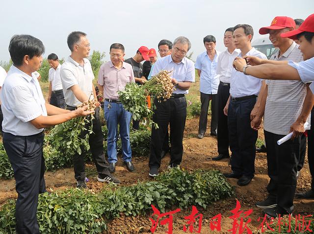 农村致富新项目种植业_农村致富项目种植业_自家农业种植致富