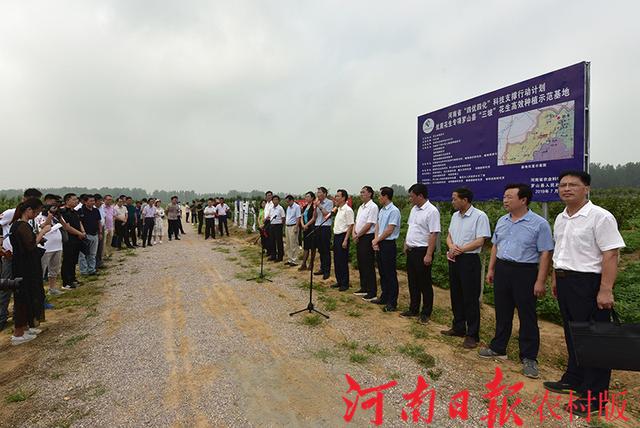 自家农业种植致富_农村致富项目种植业_农村致富新项目种植业