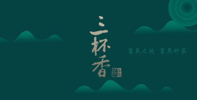 乡村振兴丨温州平阳：“中国茶文化之乡”有本致富经