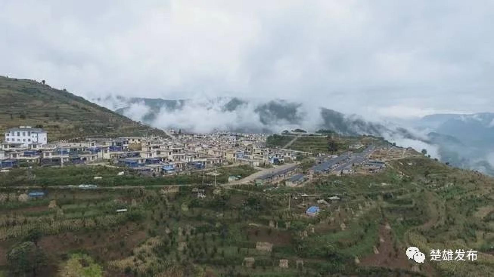 楚雄农作物_云南楚雄适合种植什么药材_楚雄农村致富种植