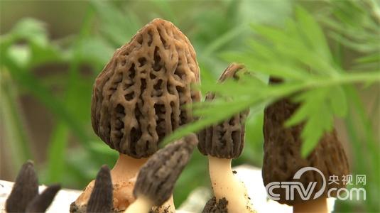 自以为想到独门生意之后
