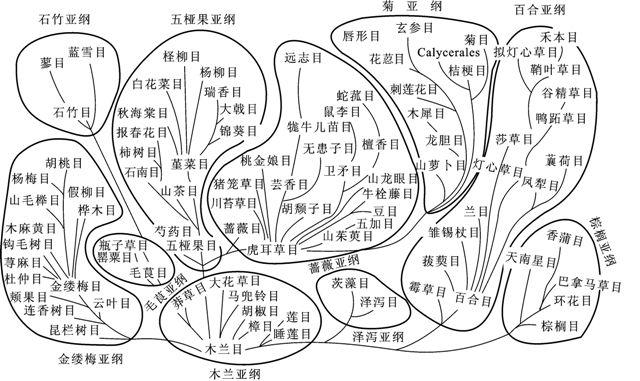 豆麦种植技术要点_豆麦种植技术视频_麦豆种植技术